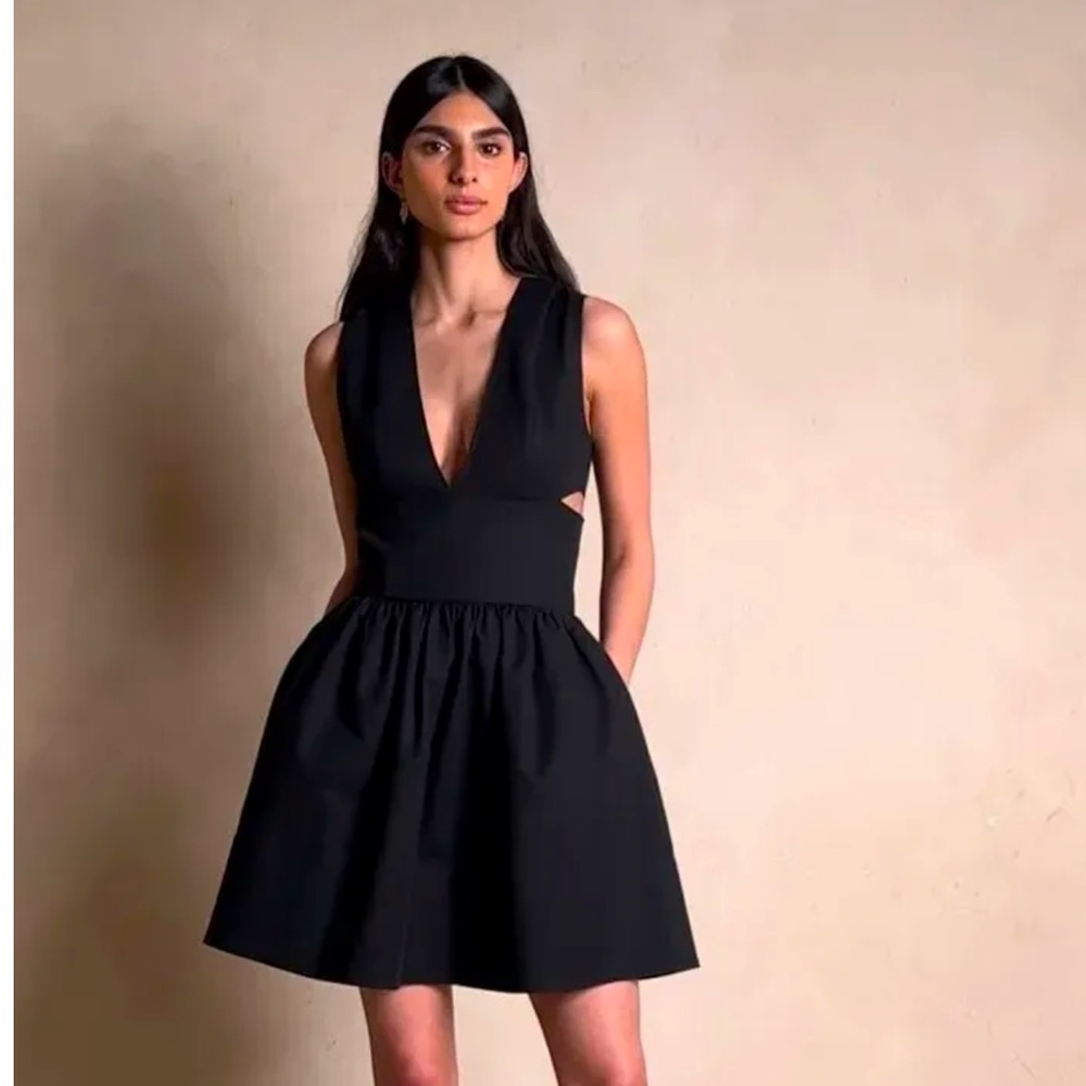 Banana Republic Anisa Cut Out Mini Dress
